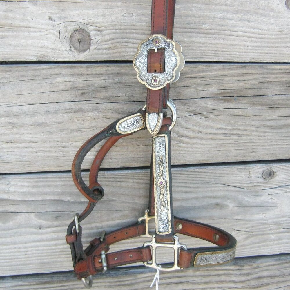 Broken Horn Weanling Large Foal Fancy Show Halter Only Red Stones 29862